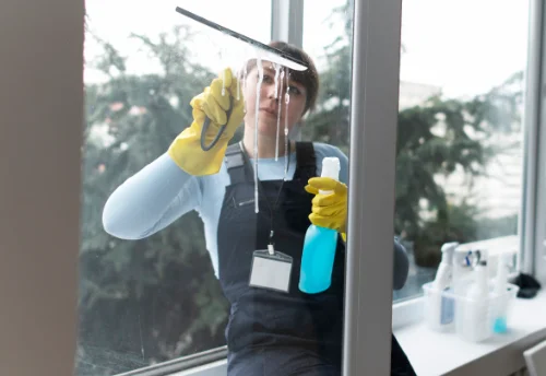 Nettoyage de vitres intérieures et extérieures à la Roche-de-Glun